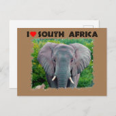 Ik hoor jonge olifant uit Zuid-Afrika Briefkaart (Voorkant / Achterkant)