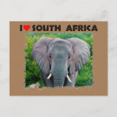 Ik hoor jonge olifant uit Zuid-Afrika Briefkaart (Voorkant)