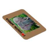 Ik hoor jonge olifant uit Zuid-Afrika Magneet (Rechterzijde)