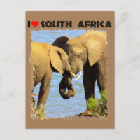 Ik hoor liefdevolle olifanten uit Zuid-Afrika