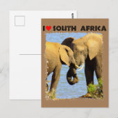 Ik hoor liefdevolle olifanten uit Zuid-Afrika Briefkaart (Voorkant / Achterkant)
