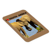 Ik hoor liefdevolle olifanten uit Zuid-Afrika Magneet (Rechterzijde)