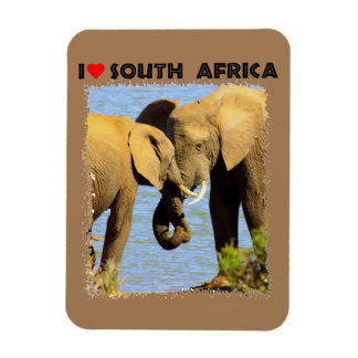 Ik hoor liefdevolle olifanten uit Zuid-Afrika Magneet