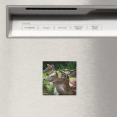 Ik hoor Magnet (Insitu (Vaatwasser))