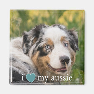 Ik hoor mijn Australische Australische Shepherd Wh Magneet