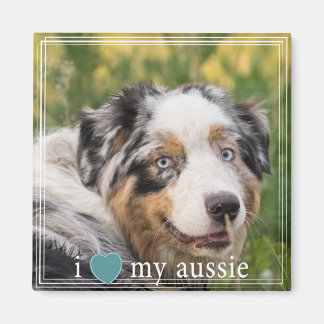 Ik hoor mijn Australische Australische Shepherd Wh Magneet