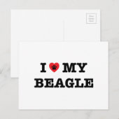 Ik hoor mijn beagle Briefkaart (Voorkant / Achterkant)