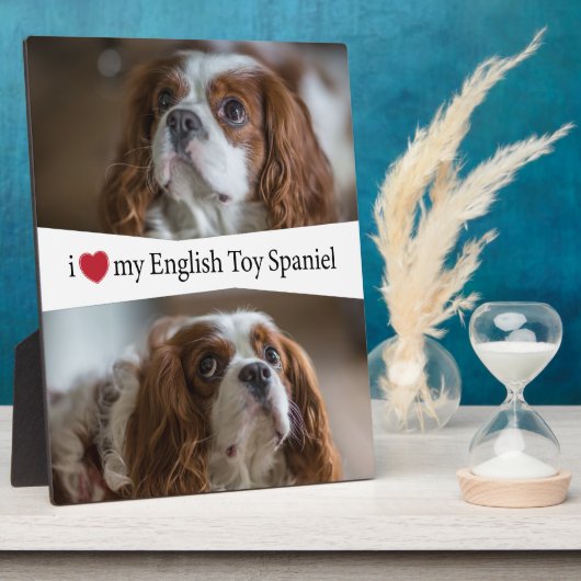 Ik hoor mijn Engelse Speelgoed Spanje Fotoplaat (Zijkant)