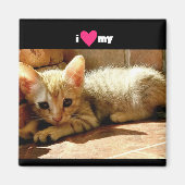 Ik hoor mijn kat magneet (Voorkant)