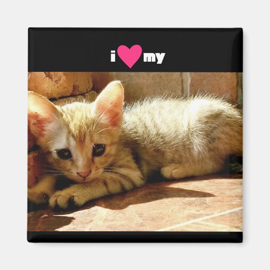 Ik hoor mijn kat magneet (Voorkant)