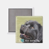 Ik hoor mijn Newfie Newfoundland White Border Magneet (Voorkant / Achterkant)