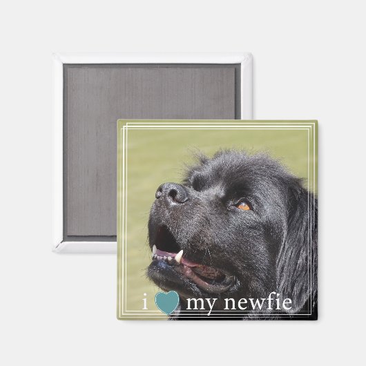 Ik hoor mijn Newfie Newfoundland White Border Magneet (Voorkant / Achterkant)