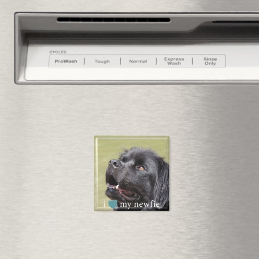 Ik hoor mijn Newfie Newfoundland White Border Magneet (Insitu (Vaatwasser))