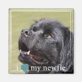 Ik hoor mijn Newfie Newfoundland White Border Magneet (Voorkant)