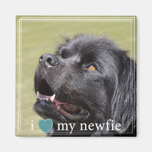 Ik hoor mijn Newfie Newfoundland White Border Magneet
