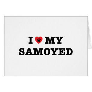 Ik hoor mijn Samoyed