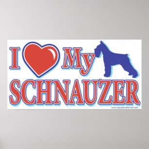 Ik hoor mijn Schnauzer Poster