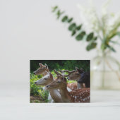 Ik hoor Mini Print Visitekaartje (Staand voorkant)