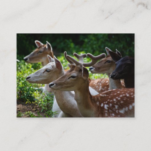 Ik hoor Mini Print Visitekaartje (Voorkant)