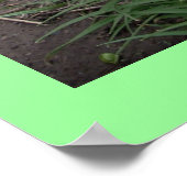 IK HOOR VAN COLLIES POSTER (Hoek)