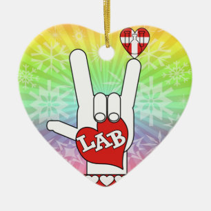 IK HOOR VAN DE LAB ASL SIGN KERAMISCH ORNAMENT