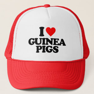 IK HOOR VAN GUINEE PIGS TRUCKER PET