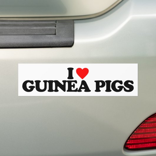IK HOOR VAN GUINEE-VARKENS BUMPERSTICKER (Op auto)