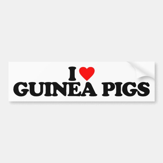 IK HOOR VAN GUINEE-VARKENS BUMPERSTICKER (Voorkant)