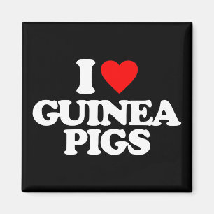 IK HOOR VAN GUINEE-VARKENS MAGNEET