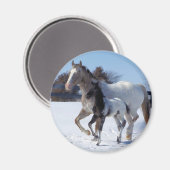 IK HOOR VAN HORSES MAGNEET (Voorkant / Achterkant)