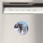 IK HOOR VAN HORSES MAGNEET (Insitu (Vaatwasser))