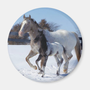 IK HOOR VAN HORSES MAGNEET