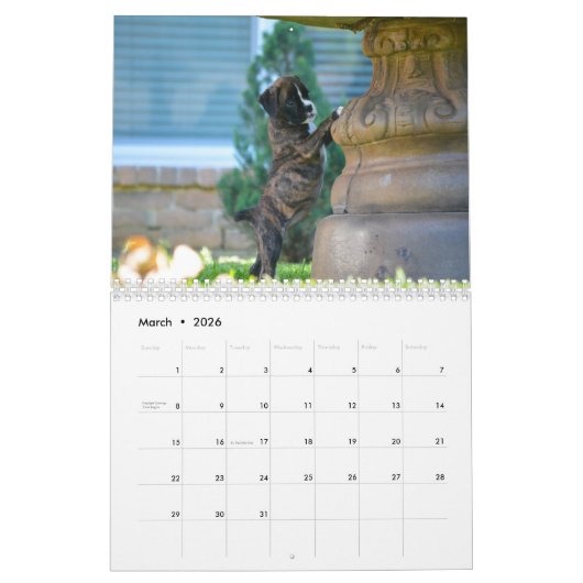 IK HOOR VAN MIJN BOXERS 2018 CALENDAR KALENDER (Mar 2026)