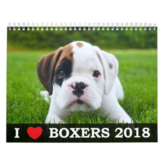 IK HOOR VAN MIJN BOXERS 2018 CALENDAR KALENDER (Hoes)