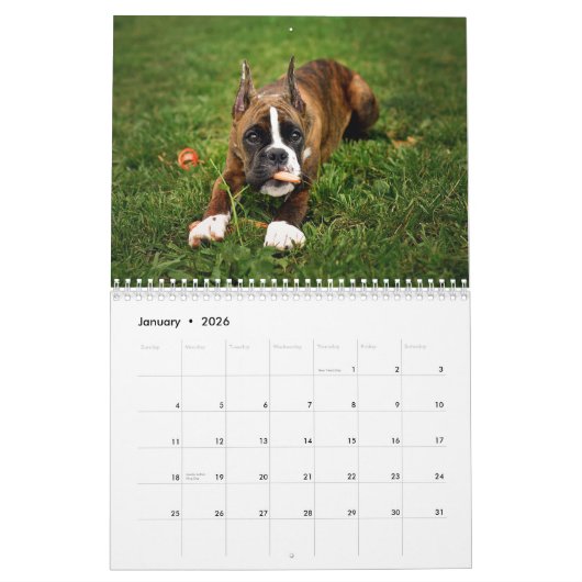 IK HOOR VAN MIJN BOXERS 2018 CALENDAR KALENDER (Jan 2026)