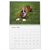 IK HOOR VAN MIJN BOXERS 2018 CALENDAR KALENDER (Jan 2027)