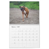 IK HOOR VAN MIJN BOXERS 2018 CALENDAR KALENDER (Feb 2027)