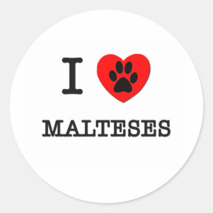IK HOOR VAN MIJN MALTESES RONDE STICKER