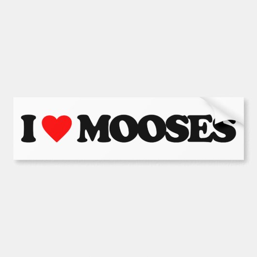 IK HOOR VAN MOSES BUMPERSTICKER (Voorkant)
