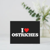 IK HOOR VAN OSTRICHES BRIEFKAART (Staand voorkant)