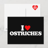 IK HOOR VAN OSTRICHES BRIEFKAART (Voorkant / Achterkant)