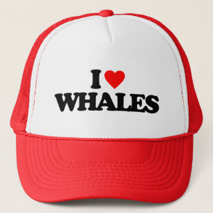 IK HOOR VAN WHALES TRUCKER PET