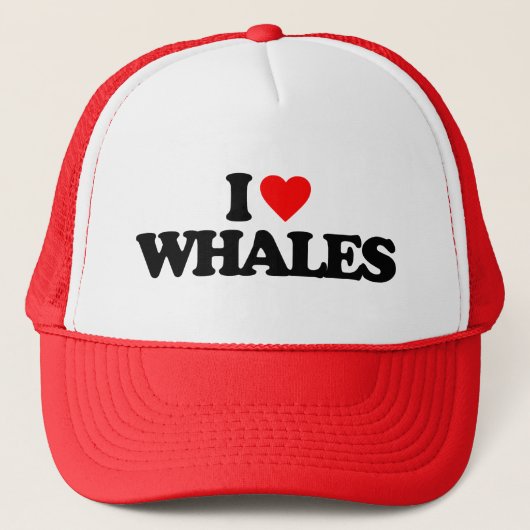 IK HOOR VAN WHALES TRUCKER PET (Voorkant)