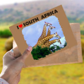 Ik hoor Zuid-Afrika 4 Giraffe Briefkaart