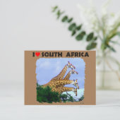 Ik hoor Zuid-Afrika 4 Giraffe Briefkaart (Staand voorkant)