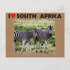 Ik hoor Zuid-Afrika als jonge zebra paar Briefkaart
