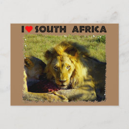Ik hoor Zuid-Afrika Briefkaart