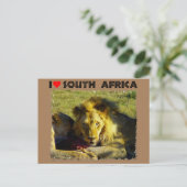 Ik hoor Zuid-Afrika Briefkaart (Staand voorkant)