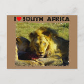 Ik hoor Zuid-Afrika Briefkaart (Voorkant)
