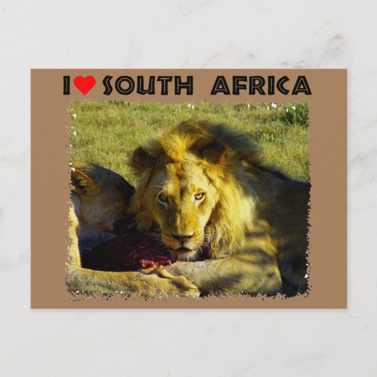 Ik hoor Zuid-Afrika Briefkaart (Voorkant)
